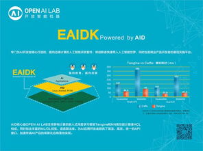业界联手，共创AI未来 Open AI Lab联合Arm中国、瑞芯微发布嵌入式AI开发套件EAIDK